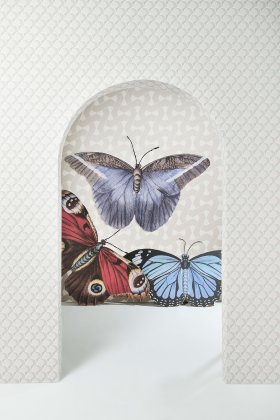 farfalla in mezzo ad un arco rivestito di carta da parati con altre due farfalle sullo sfondo