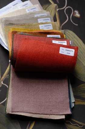 Foto del book Canapa con le varianti colore