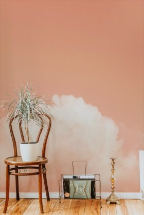Una sedia, una pianta e un porta giornale su sfondo di carta da parati con una nuvola