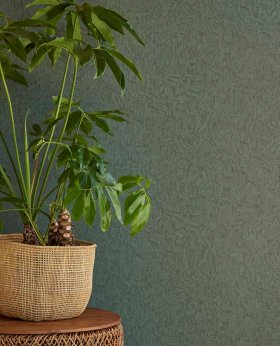 Prodotto della collezione Touch - Embrace
